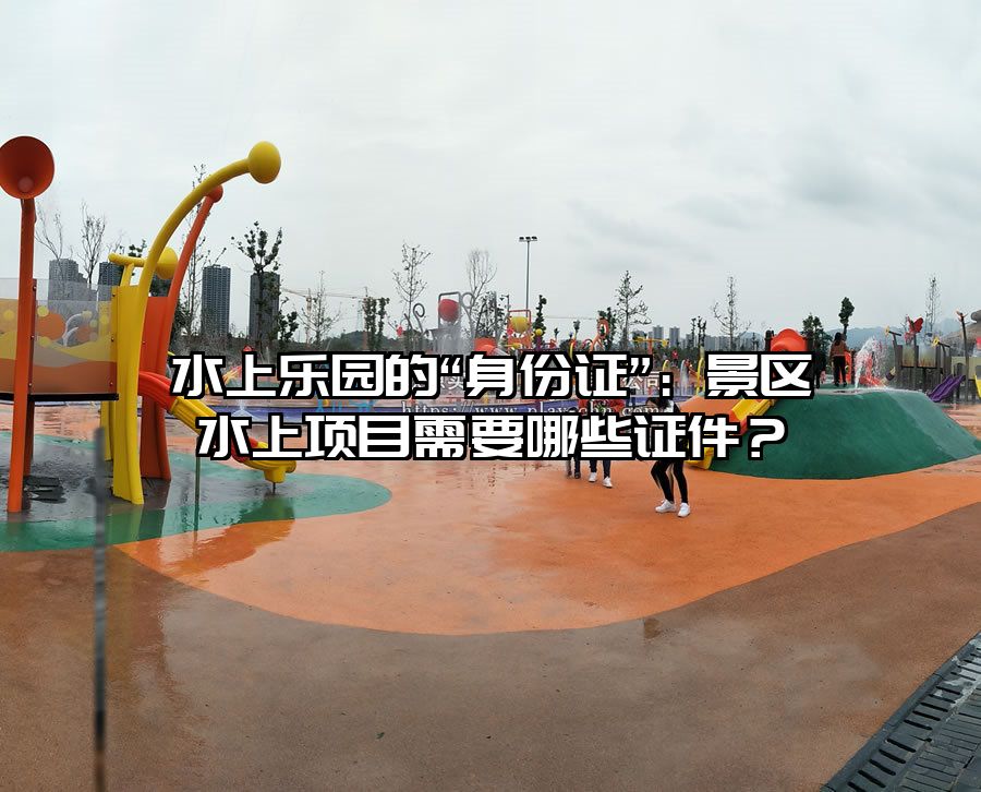 水上樂園的“身份證”：景區水上項目需要哪些證件？