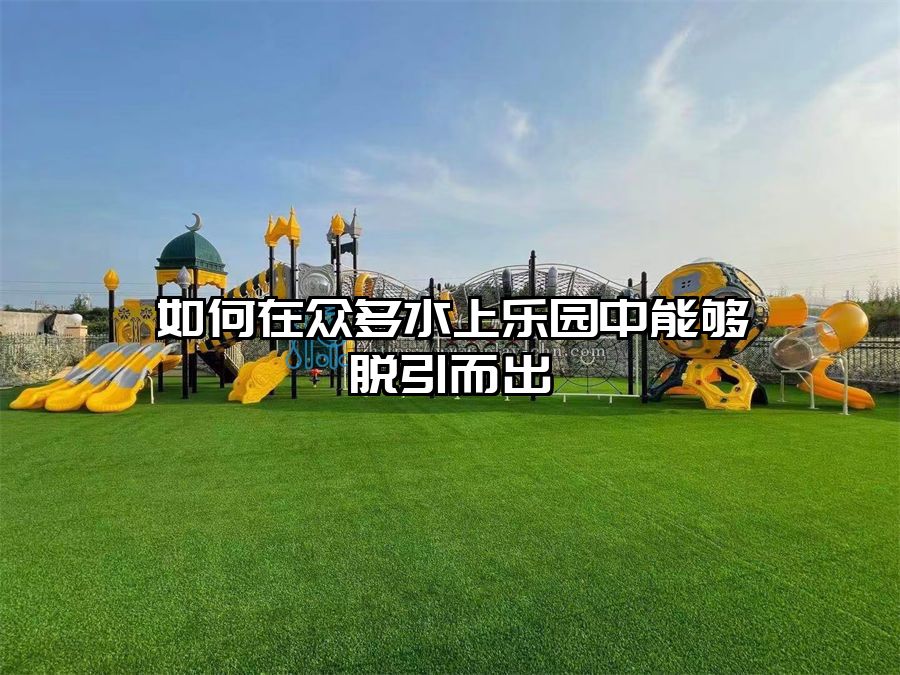 如何在眾多水上樂園中能夠脫引而出